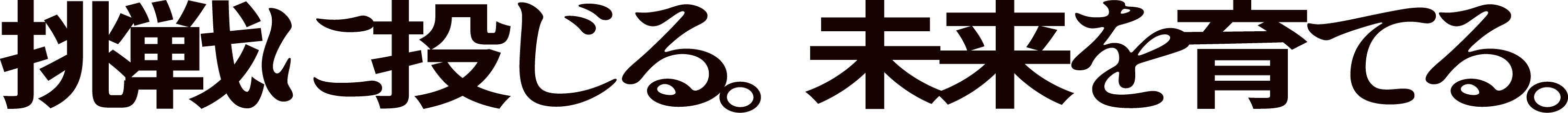 挑戦に投じる。未来を育てる。
